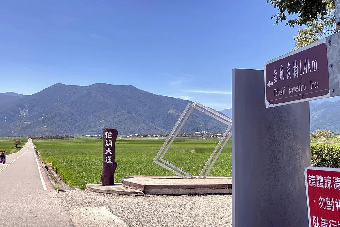 台東景點推薦|伯朗大道 台東伯朗大道